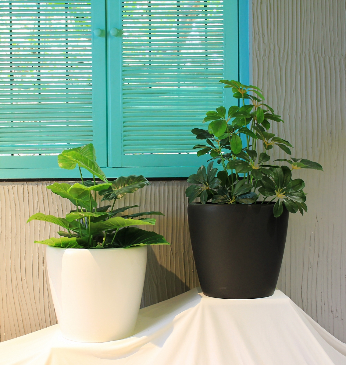 Litos planters