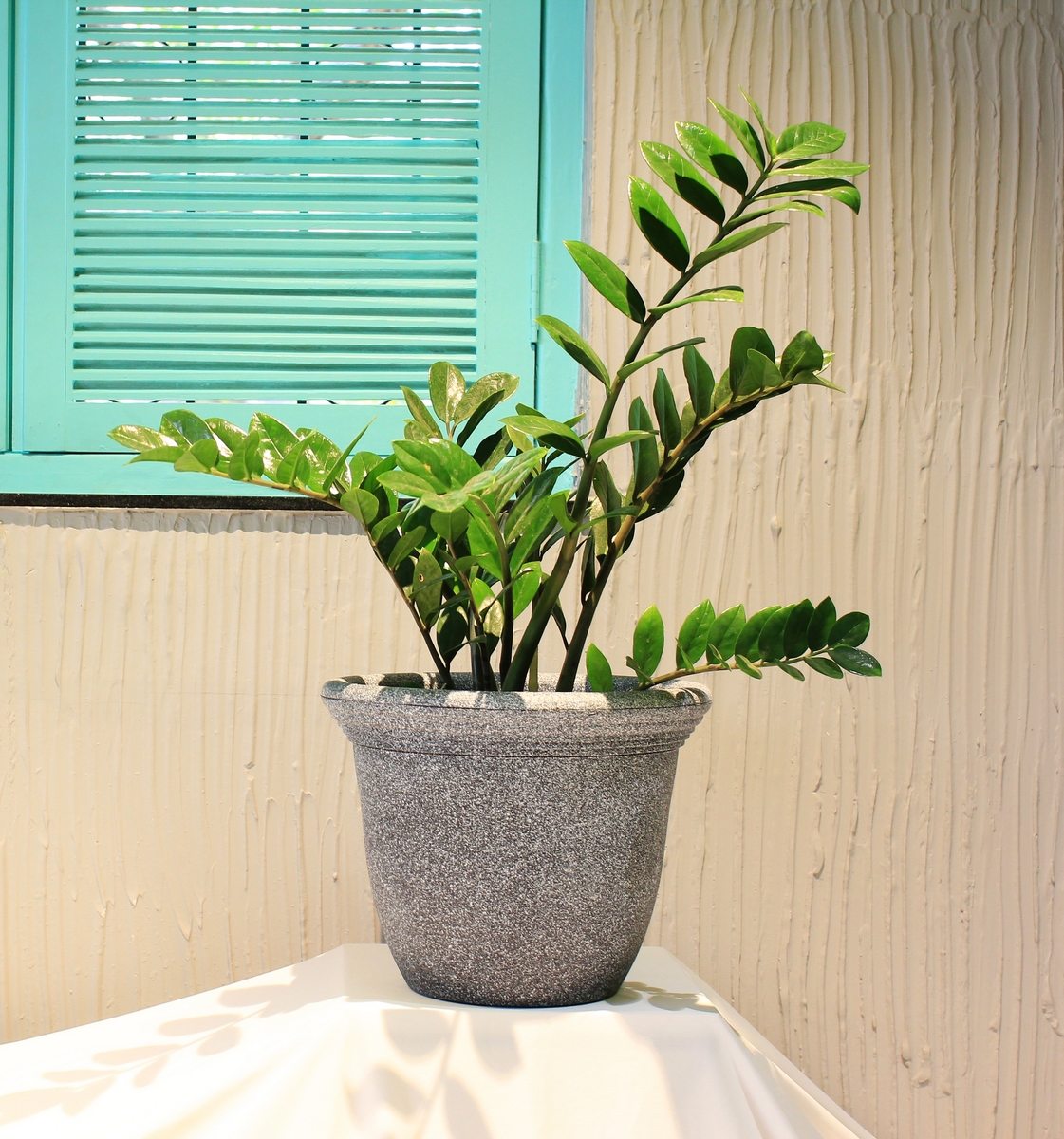 Stone texture planter